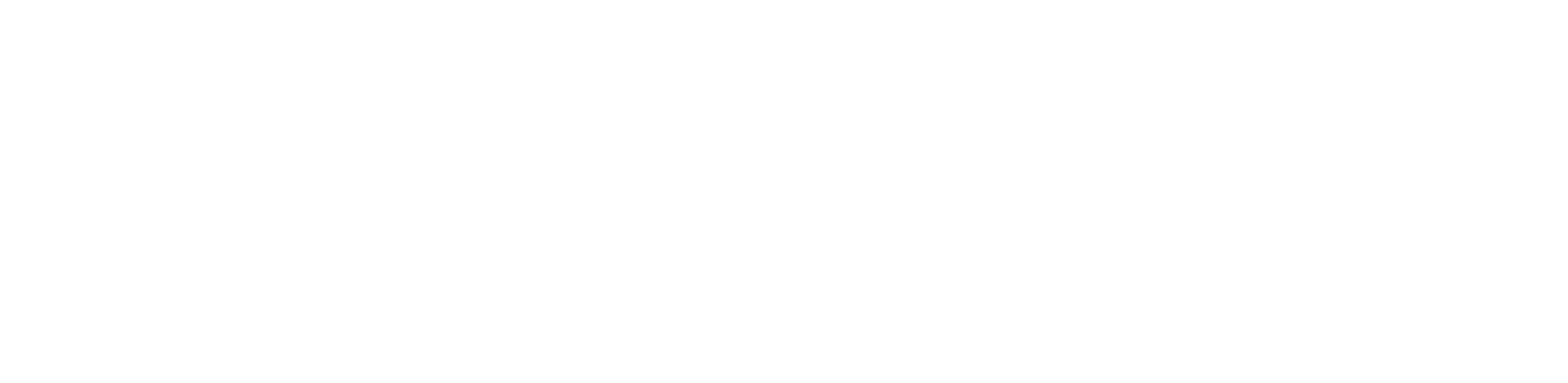 CCIVS