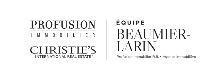 PROFUSION IMMOBILIER  R.B.